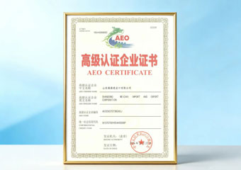 W020260105625648619589