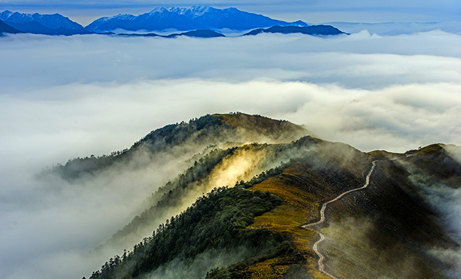 银娱优越会·GEG(中国)股份有限公司