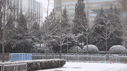 首页-人生就是博手机版