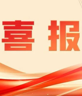 W020250626356532265874